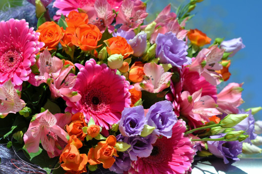 823897 (a): :2500x1660